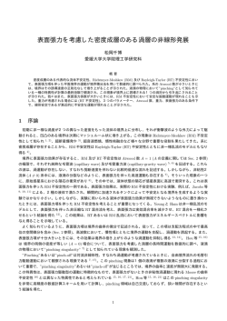 表面張力を考慮した密度成層のある渦層の非線形発展