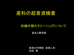 資料はこちらをクリック！！