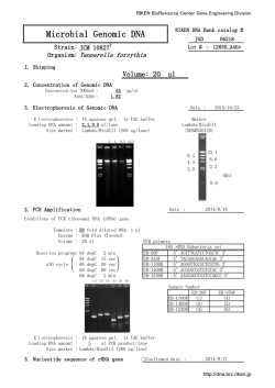Microbial Genomic DNA