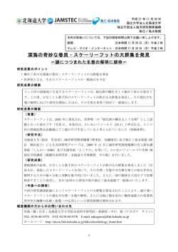 深海の奇妙な巻貝・スケーリーフットの大群集を発見