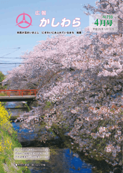かしわら 4月号