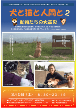 犬と猫と人間と