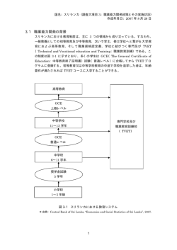 3.1 職業能力開発の背景