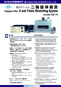 Polymer Film X and Y-Axis Stretching System