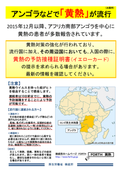 アンゴラなどで「黄熱」が流行 - FORTH｜厚生労働省検疫所