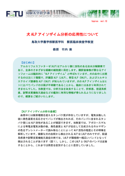 犬 ALP アイソザイム分析の応用性について