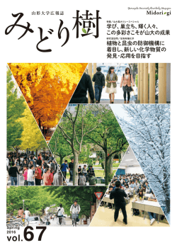 この多彩さこそが山大の成果 植物と昆虫の防御機構に 着目し