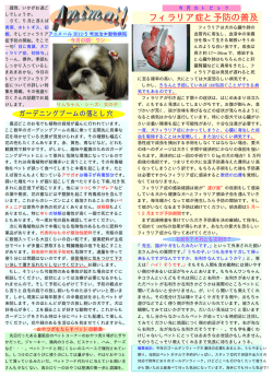 5月号 - Biglobe