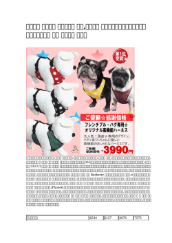 犬 首輪 可愛い