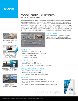 Movie Studio 13 Platinum