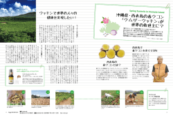 沖縄県・西表島の春ウコン 「ウムザーウッキン」が 世界の救世主に？