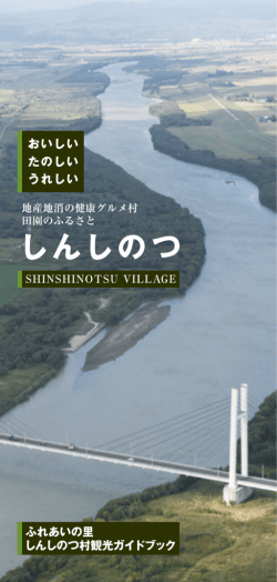 PDF - 新篠津村