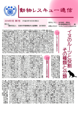 第7号PDF