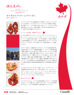 カナダのロブスターとズワイガニ