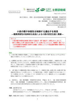記者発表資料 - 横浜市立大学