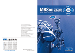Model Based Simulation