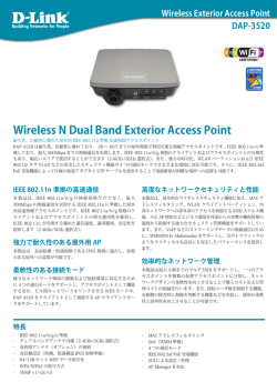 Wireless N Dual Band Exterior Access Point - D-Link