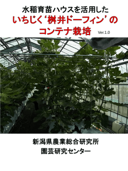 栽培マニュアル - 新潟県農業総合研究所