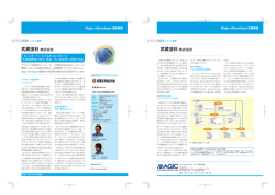 武蔵塗料 - Magic Software