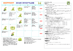 こちら（PDF） - せたがや若者サポートステーション
