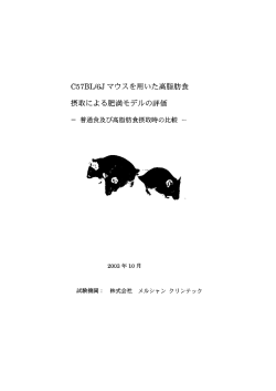 C57BL/6Jマウスを用いた高脂肪食摂取による肥満ﾓﾃﾞﾙの評価