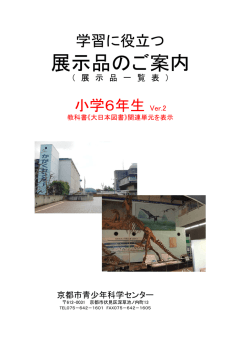 PDF形式