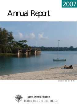 Annual Report - ベリテック・アイコニックス・ベンチャーズ株式会社