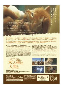 劇場チラシ裏面