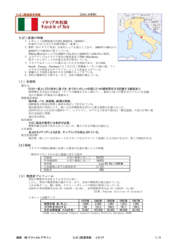 イタリア - テクニカルデザイン