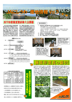 重点実施事項 摘果スケジュール