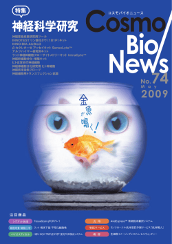 PDFダウンロード