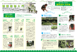 ダウンロード - ベトナムスケッチ