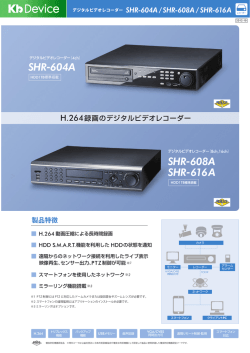 PDF形式/781KB