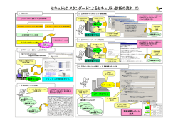 セキュドックスタンダードによるセキュリティ診断の流れ（1）