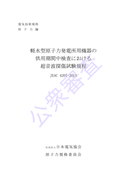 軽水型原子力発電所用機器の供用期間中検査における超音波探傷試験