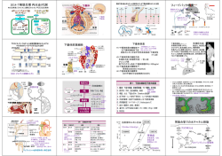 2014-7病態生理内分泌/代謝 フィードバック機構