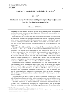 日本産マイワシの初期発育と産卵生態に関する