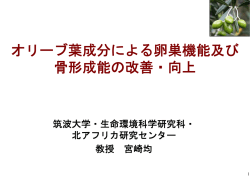 オリーブ葉成分による卵巣機能及び 骨形成能の改善・向上