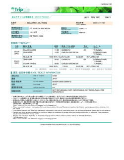 旅程/ITINERARY 運賃/航空券情報/FARE/TICKET INFORMATION