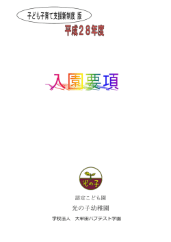 PDF：343KB
