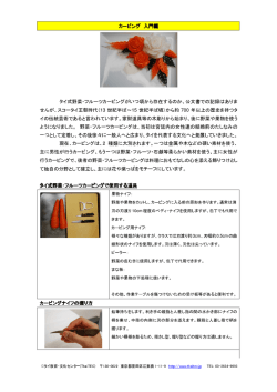 野菜・果物カービング講習