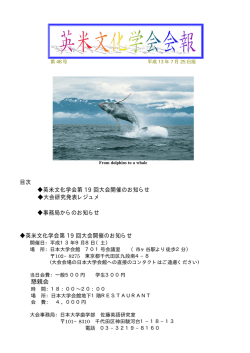 48号