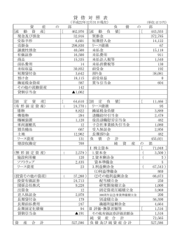 貸 借 対 照 表 - 国分グループ本社株式会社