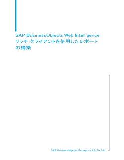 SAP BusinessObjects Web Intelligence リッチ