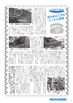 輔, 夏~秋にかけてのイノシシの実態につ いて報告会