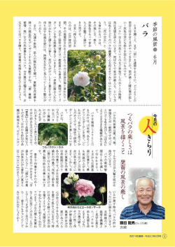 【バラ】、今月の人きらり【藤田隆男さん】