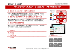 PDFダウンロード