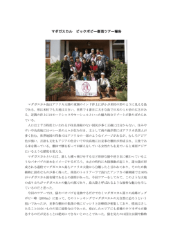 マダガスカル ピックボビー登頂ツアー報告