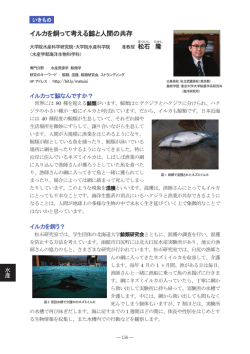 イルカを飼って考える鯨と人間の共存