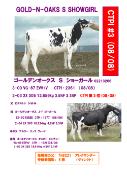 GOLD-N-OAKS S SHOWGIRL